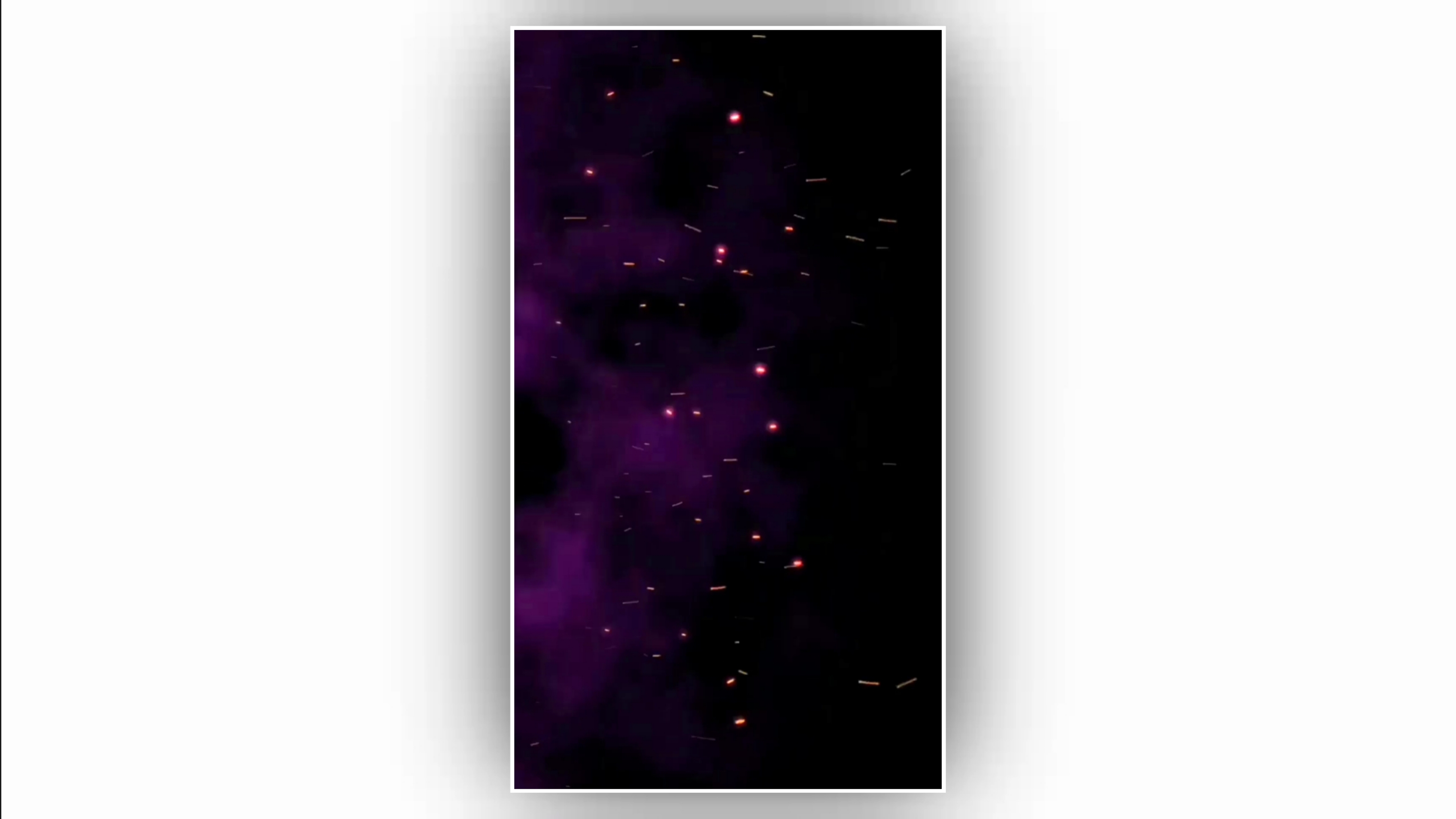 Purple colour trending effect black screen video
