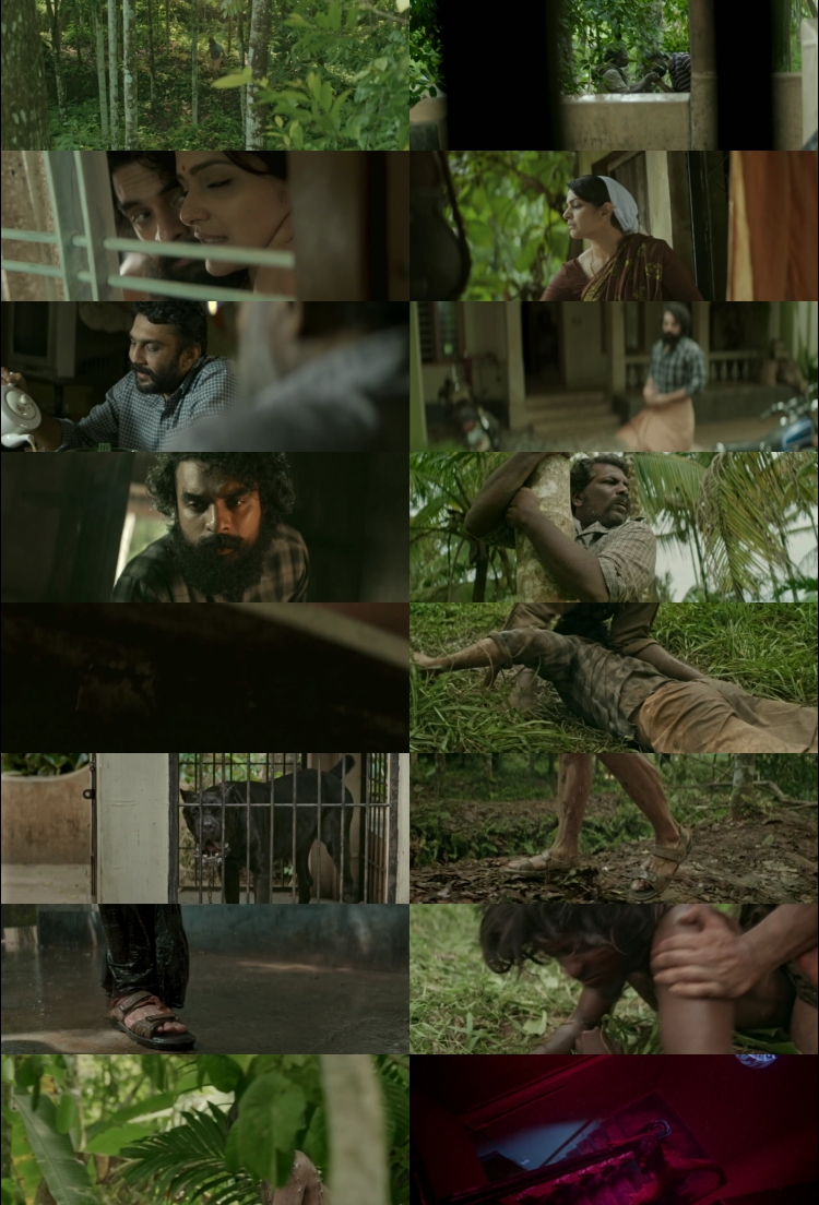  Screenshot Of Kala-2021-WEB-HD-South-Dubbed-Dual-Audio-Hindi-ORG-And-Malayalam-Full-Movie-Download-In-Hd