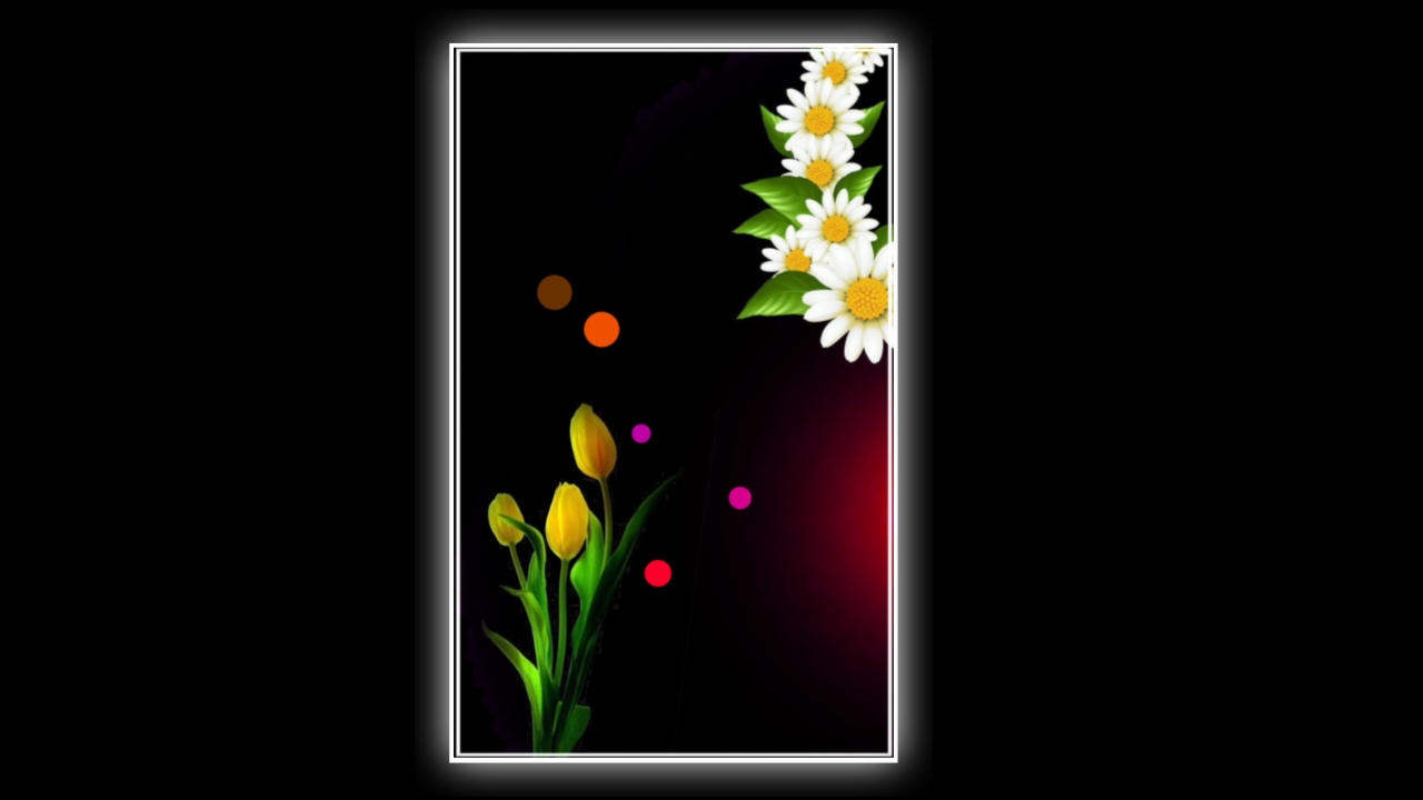 HAPPY Holi 2023 New black screen template video Download